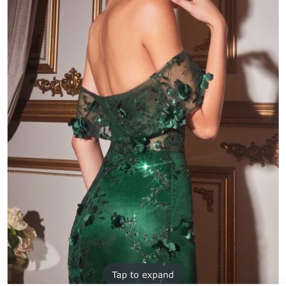 NEW! CINDERELLA DIVINE La Divine Floral
Corset Bodice Evening Gown Blue SZ 8 NWT - Picture 9 of 14